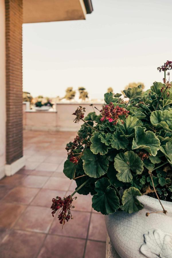 Bed And Breakfast Villa Romano Anzio Zewnętrze zdjęcie